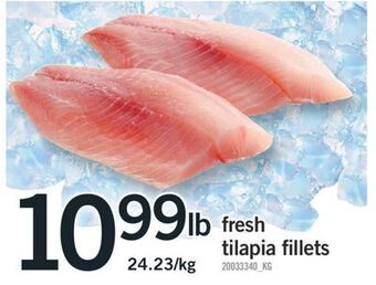 Fortinos Fresh tilapia fillets offer