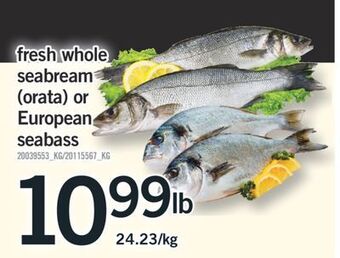 Fortinos Fresh whole seabream orata or european seabass offer
