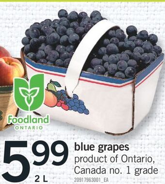 Fortinos Blue grapes, 2 l offer