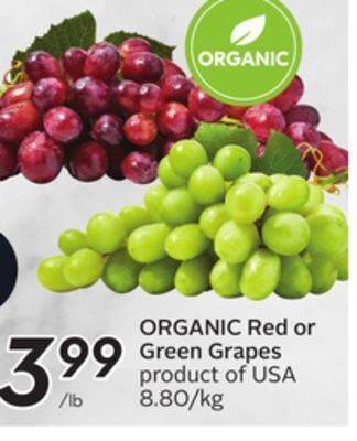 Sobeys Organic red or green grapes offer
