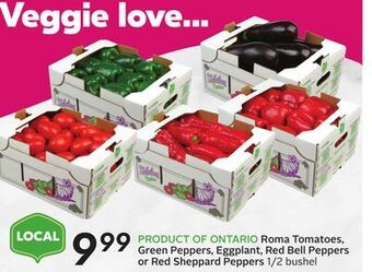 Sobeys Roma tomatoes, green peppers, eggplant, red bell peppers or red sheppard peppers offer