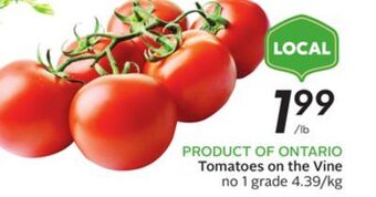 Sobeys Tomatoes on the vine offer