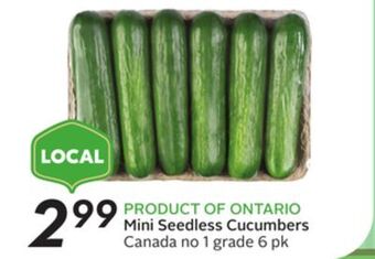 Sobeys Mini seedless cucumbers offer