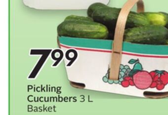 Sobeys Pickling cucumbers offer