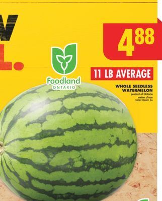No Frills Whole seedless watermelon, 11 lb average offer
