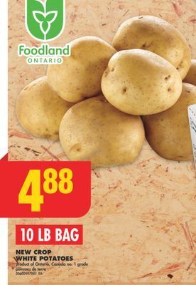 No Frills New crop white potatoes, 10 lb bag offer