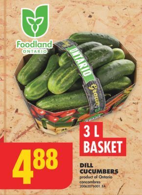 No Frills Dill cucumbers, 3 l basket offer