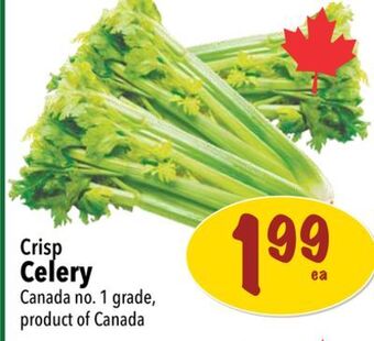 Farm Boy Crisp celery offer