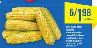 Maxi sweet bicolour corn offer