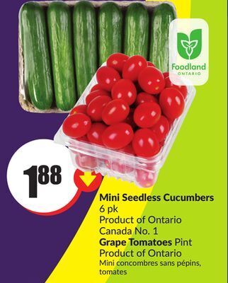 Chalo FreshCo Mini seedless cucumbers 6 pk product of ontario canada no. 1 grape tomatoes pint product of ontario offer