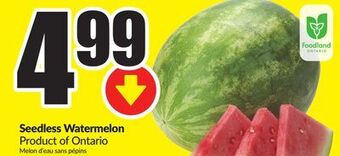 Chalo FreshCo Seedless watermelon product of ontario offer