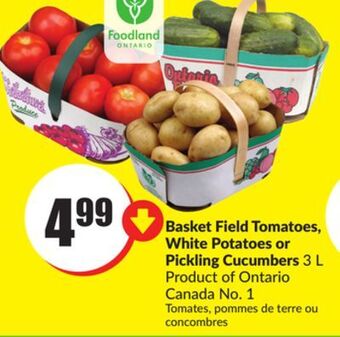 Chalo FreshCo Basket field tomatoes, white potatoes or pickling cucumbers 3 l product of ontario canada no. 1 offer