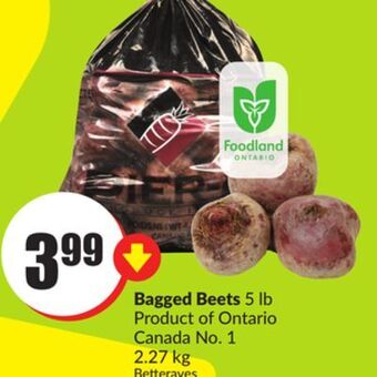 Chalo FreshCo Bagged beets 5 lb product of ontario canada no. 1 2.27 kg offer