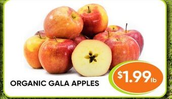 Healthy Planet Organic gala apples offer