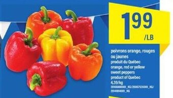 Maxi orange, red or yellow sweet peppers 4,39/kg offer