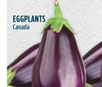 Marché Adonis Eggplants offer