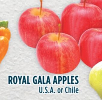 Marché Adonis Royal gala apples offer