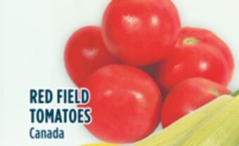 Marché Adonis Red field tomatoes offer