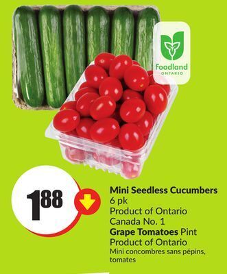 FreshCo Mini seedless cucumbers 6 pk product of ontario canada no. 1 grape tomatoes pint product of ontario offer