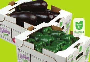 FreshCo Half bushel green bell peppers or eggplant approx 14 lb case product of ontario offer