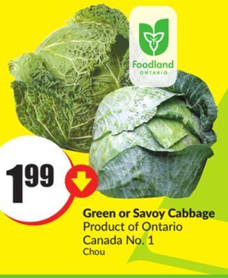FreshCo Green or savoy cabbage product of ontario canada no. 1 offer