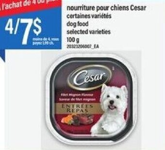 Maxi Cesar dog Food 100g offer