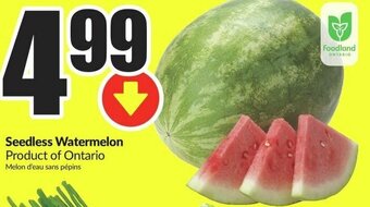 FreshCo Seedless Watermelon offer