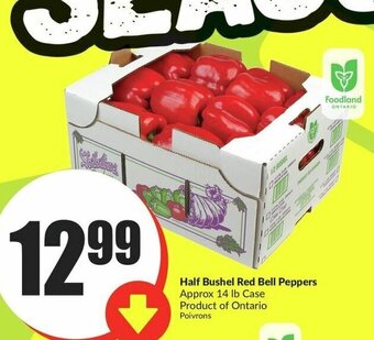FreshCo Half Bushel Red Bell Peppers offer