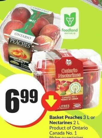 FreshCo Basket Peaches 3 L or Nectarines 2 L offer