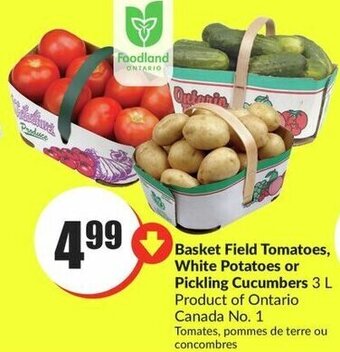 FreshCo Basket Field Tomatoes, White Potatoes or Pickling Cucumbers 3 L offer