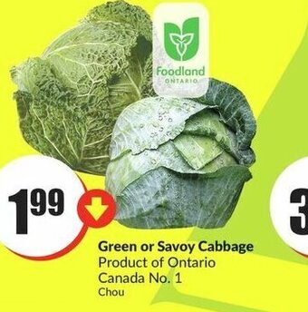 FreshCo Green or Savoy Cabbage offer