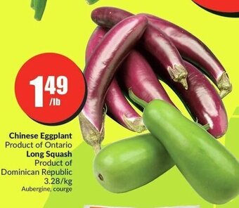 FreshCo Chinese Eggplant , Long Squash offer