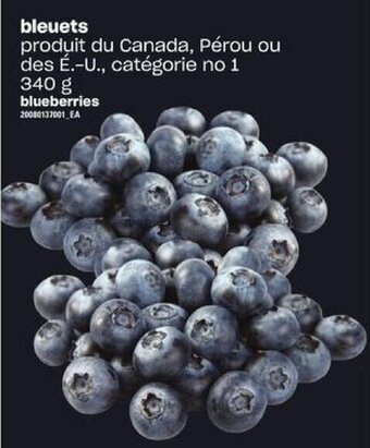 Provigo blueberries 340 g offer