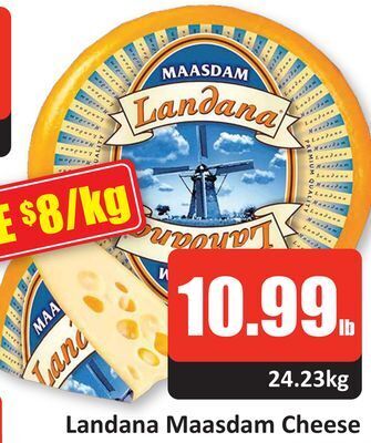 Starsky Landana maasdam cheese offer