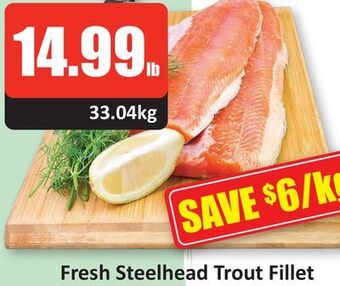 Starsky Fresh steelhead trout fillet offer