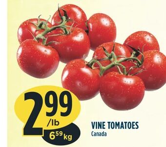 Marché Adonis Vine tomatoes offer