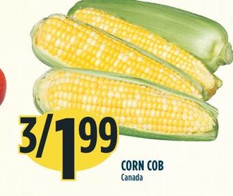 Marché Adonis Corn cob offer