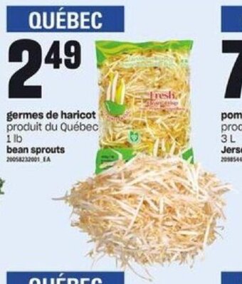 Provigo bean sprouts 1lb offer