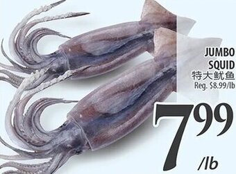 Al Premium Food Mart JUMBO SQUID offer