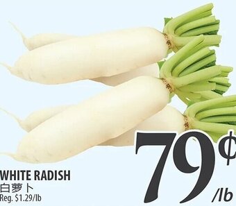 Al Premium Food Mart WHITE RADISH offer