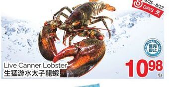 T&T Supermarket Live canner lobster offer