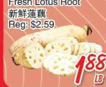 Foody Mart Fresh lotus root offer