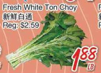 Foody Mart Fresh white ton choy offer