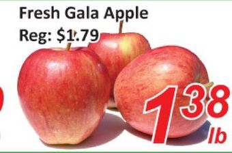 Seasons Foodmart Fresh gala apple offer