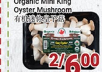 Oceans Fresh Food Market Organic mini king oyster mushroom offer