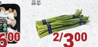 Oceans Fresh Food Market Garlic stem offer