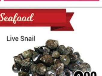 Nations Fresh Foods Live snail offer