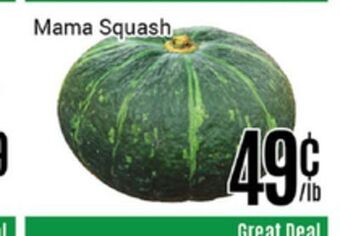 Nations Fresh Foods Mama squash offer