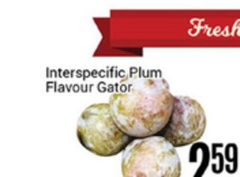 Nations Fresh Foods Interspecific plum flavour gator offer