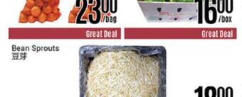 Nations Fresh Foods Bean sprouts offer